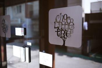 Chocolate Tree