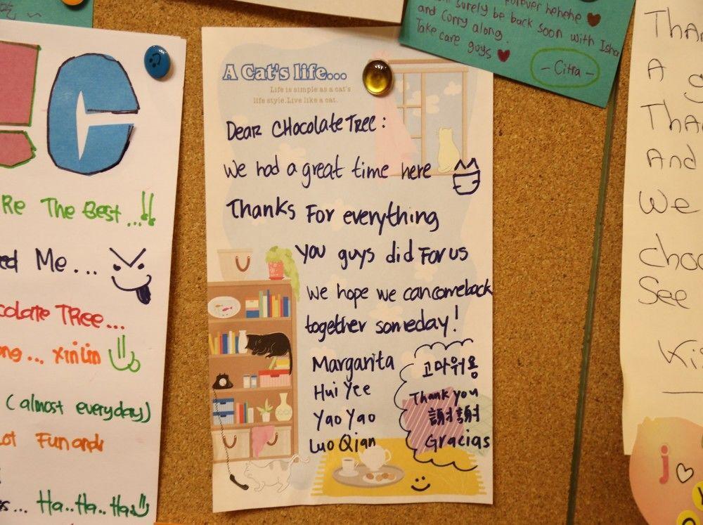 Chocolate Tree 2* Seoul